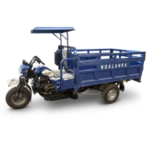 NGALANKA SR250ZH-2W 250CC à Eau