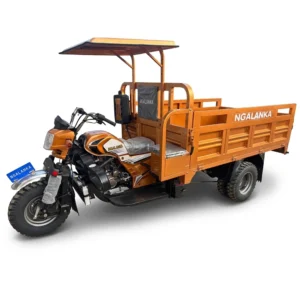 NGALANKA SR300ZH-2W 300CC à Eau
