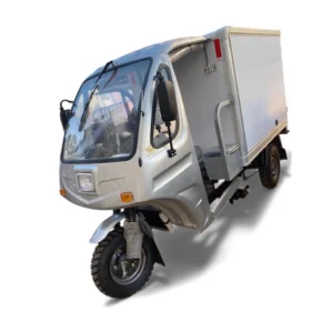 NGALANKA NL250ZH-C Frigo Simple 250CC À Eau