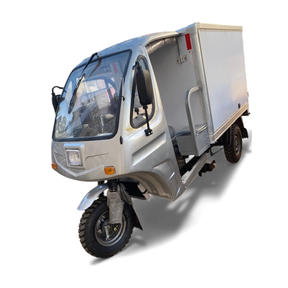 NGALANKA NL250ZH-C Frigo Simple 250CC À Eau